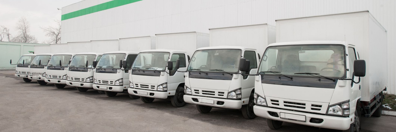 Lineup of Isuzu trucks near Easton, PA